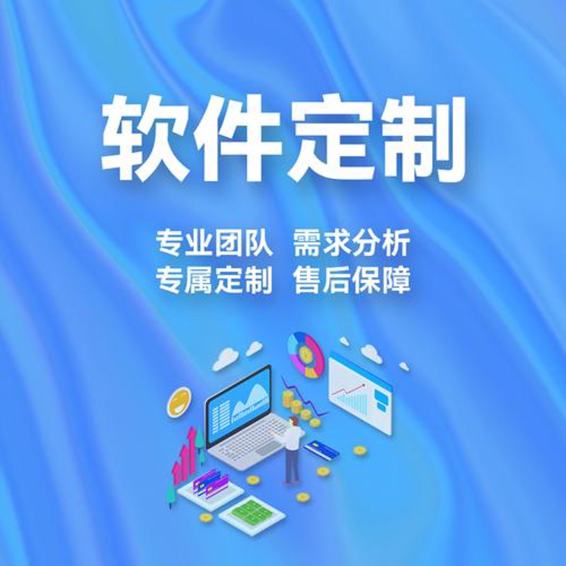 行业软件定制